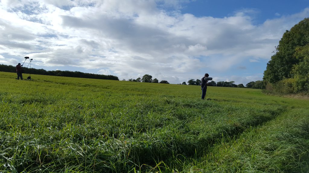 F1 2017 staff recording 1