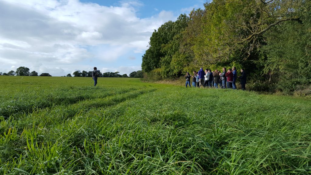 F1 2017 staff recording 2