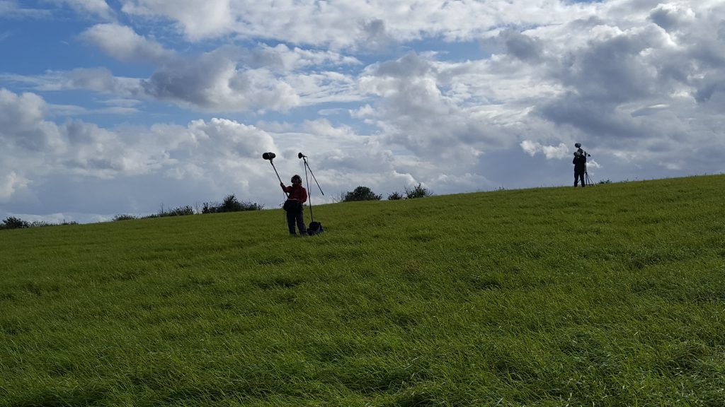 F1 2017 staff recording 4