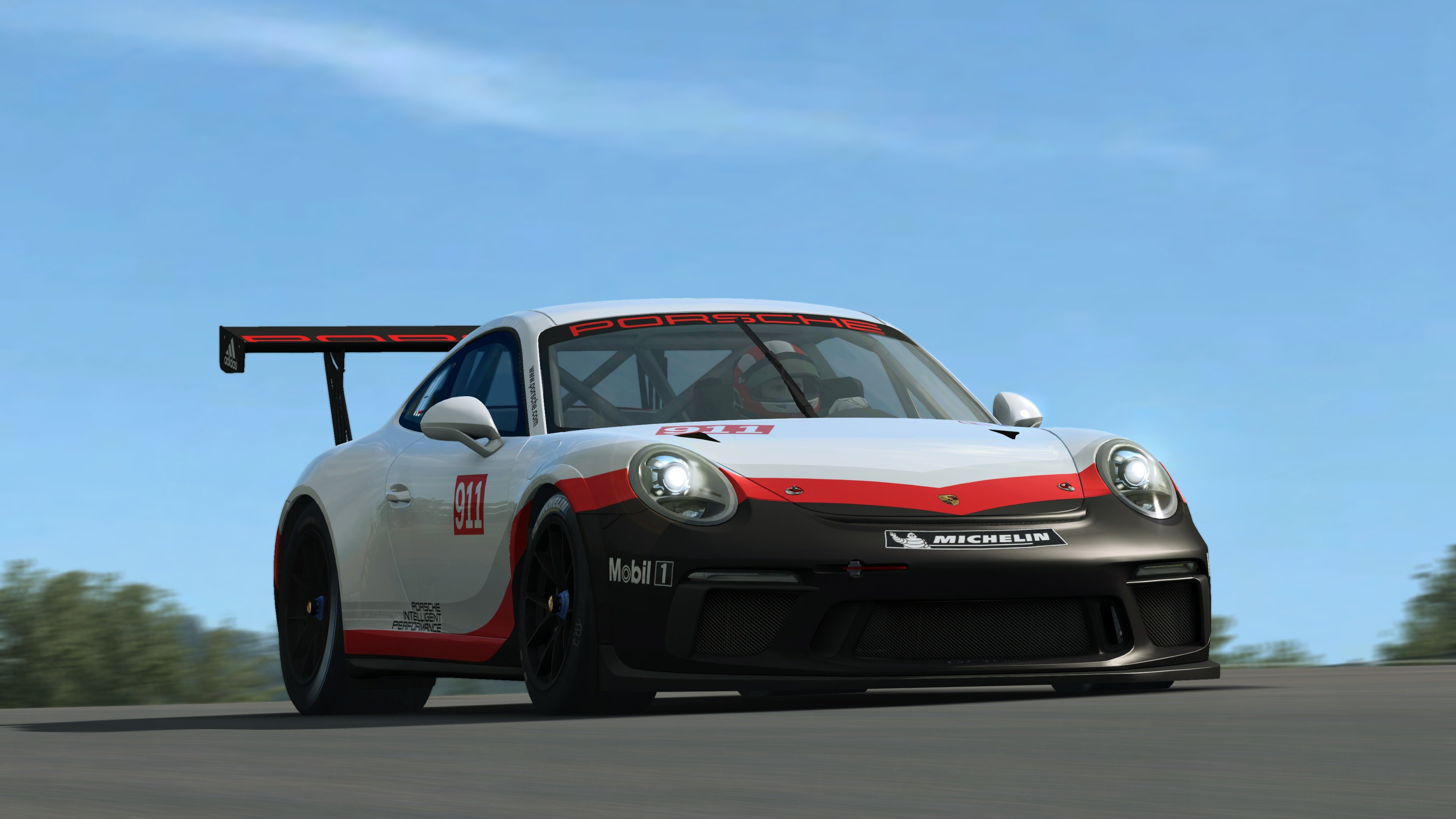 RaceRoom 991.2 Porsche 911 GT3 Cup 28