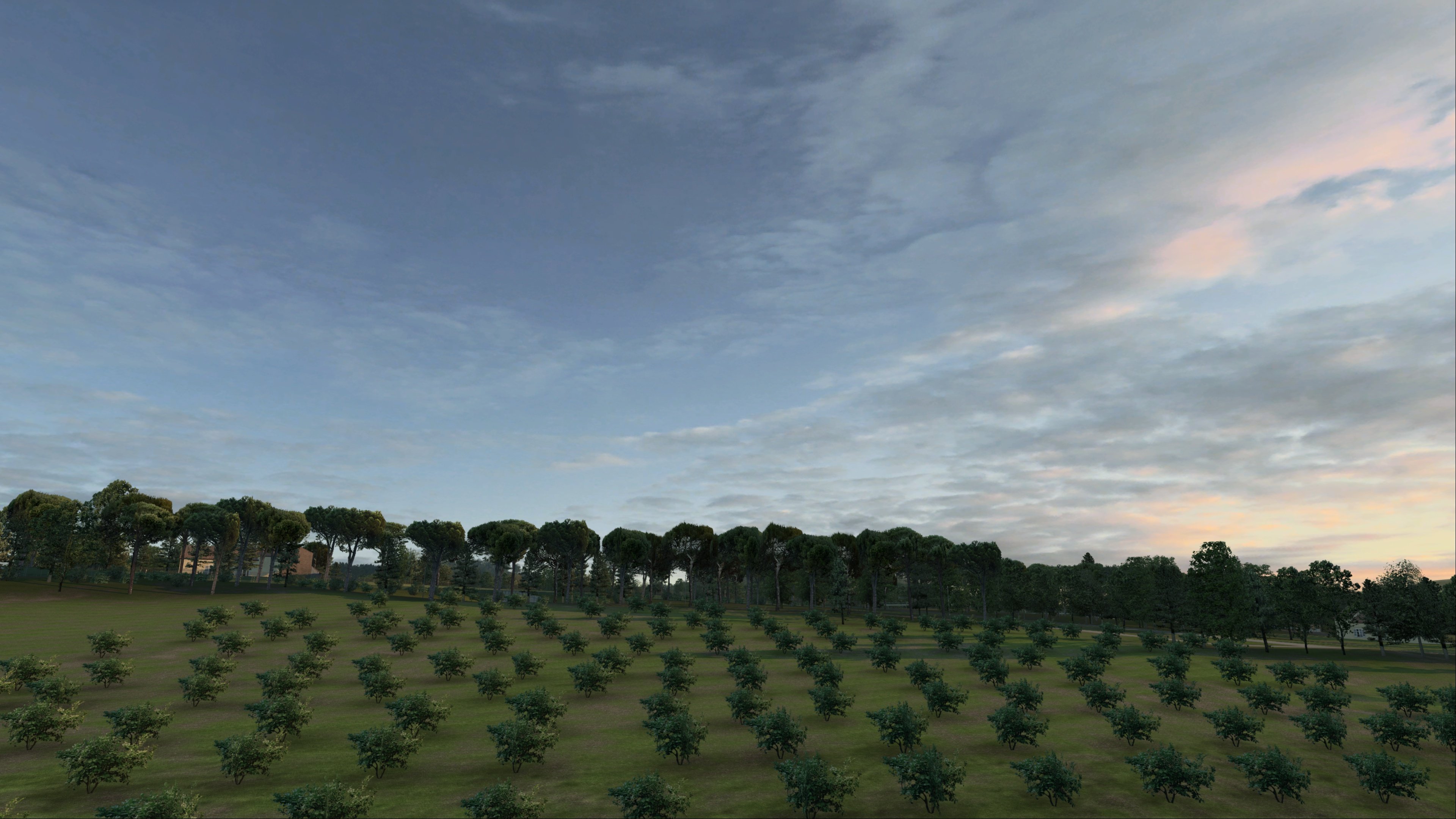 RaceRoom Imola preview 4